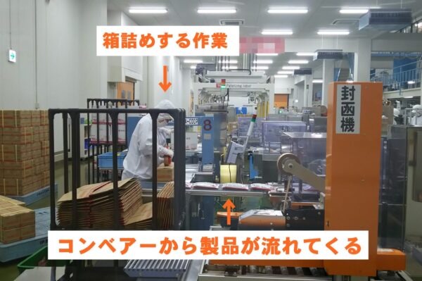 食品工場のライン作業